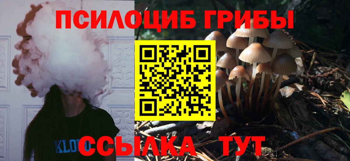 Галлюциногенные грибы GOLDEN TEACHER  Вход с VPN  Кудымкар 